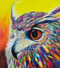 Owl Portrait Paint By Numbers