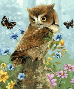 Owl and Butterfly Paint By Numbers