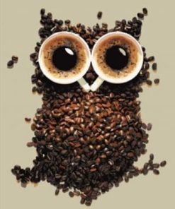 Owl of Coffee Paint By Numbers