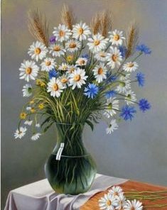 Oxeye Daisy Paint By Numbers