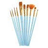 Paint Brushes Set