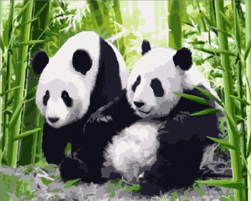 Panda Couple Paint By Numbers