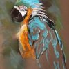 Parrot Art Paint By Numbers