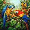 Parrots Paint By Numbers