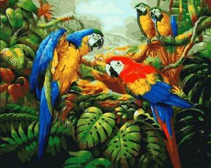 Parrots Paint By Numbers