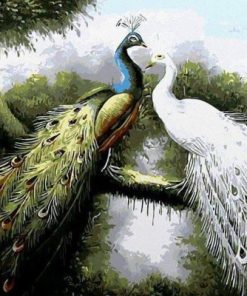 Peacock Couple Paint By Numbers