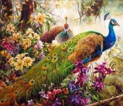 Peafowls Animals Paint By Numbers