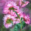 Peony Butterflies Paint By Numbers