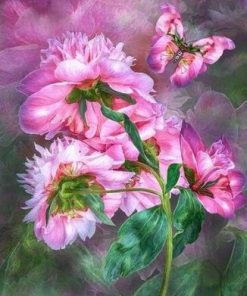 Peony Butterflies Paint By Numbers