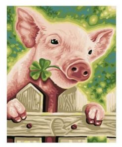 Pig Animals Paint By Numbers