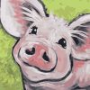 Pig Smiling Paint By Numbers