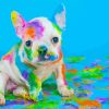 Pigment Dog Paint By Numbers