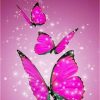 Pink Butterfly Paint By Numbers