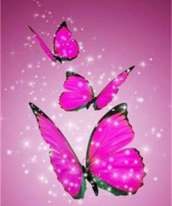 Pink Butterfly Paint By Numbers