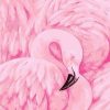 Pink Flamingoe Paint By Numbers