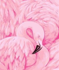 Pink Flamingoe Paint By Numbers