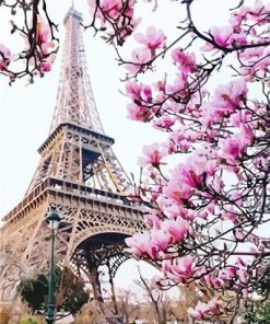 Blossom in Paris Paint By Numbers