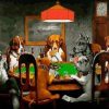 Poker Animals Paint By Numbers