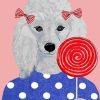 Poodle with Lollipop Paint By Numbers