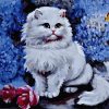 Pretty Cat Paint By Numbers