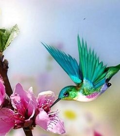 Pretty Hummingbird Paint By Numbers