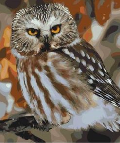 Pretty Owl Paint By Numbers