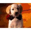 Puppy and Rose Paint By Numbers