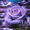 Purple Rose Paint By Numbers