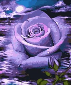 Purple Rose Paint By Numbers