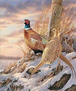 Quail In Snow Paint By Numbers