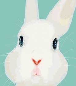 Rabbit Art Paint By Numbers