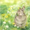 Rabbit In Grass Paint By Numbers