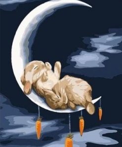 Rabbit Moon Paint By Numbers