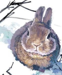 Rabbit in Snow Paint By Numbers