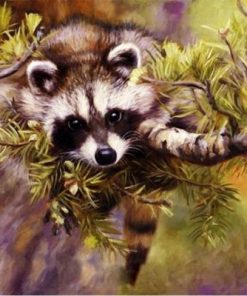 Raccoon Animals Paint By Numbers