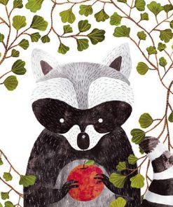 Raccoon and Apples Paint By Numbers