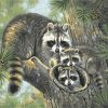 Raccoons Family Paint By Numbers