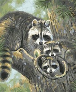 Raccoons Family Paint By Numbers