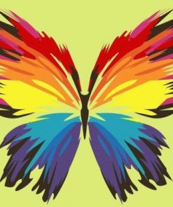 Rainbow Butterfly Paint By Numbers