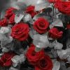 Red Flower Paint By Numbers