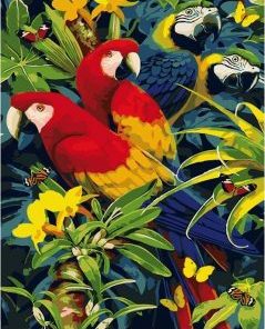 Red Parrots Paint By Numbers