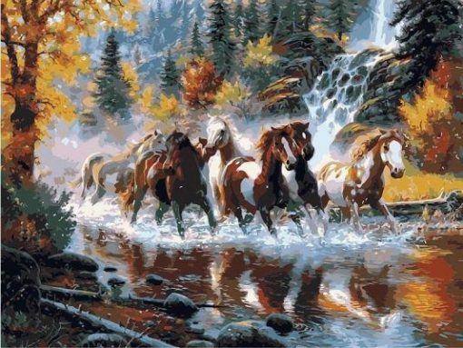 River Horses Paint By Numbers