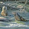 River Otters Paint By Numbers