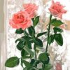 Romantic Roses Paint By Numbers