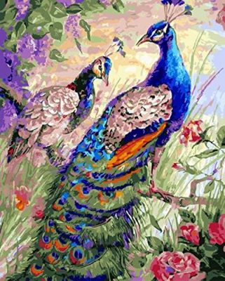 Peacock Birds Paint By Numbers