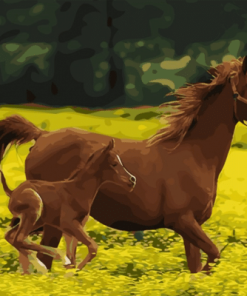 Running Horse Paint By Numbers