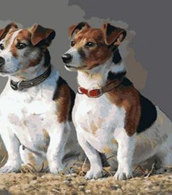 Russell Terrier Paint By Numbers