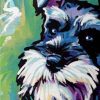 Schnauzer Dog Paint By Numbers