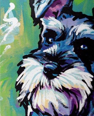 Schnauzer Dog Paint By Numbers