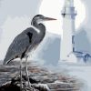 Seabirds Lighthouse Paint By Numbers